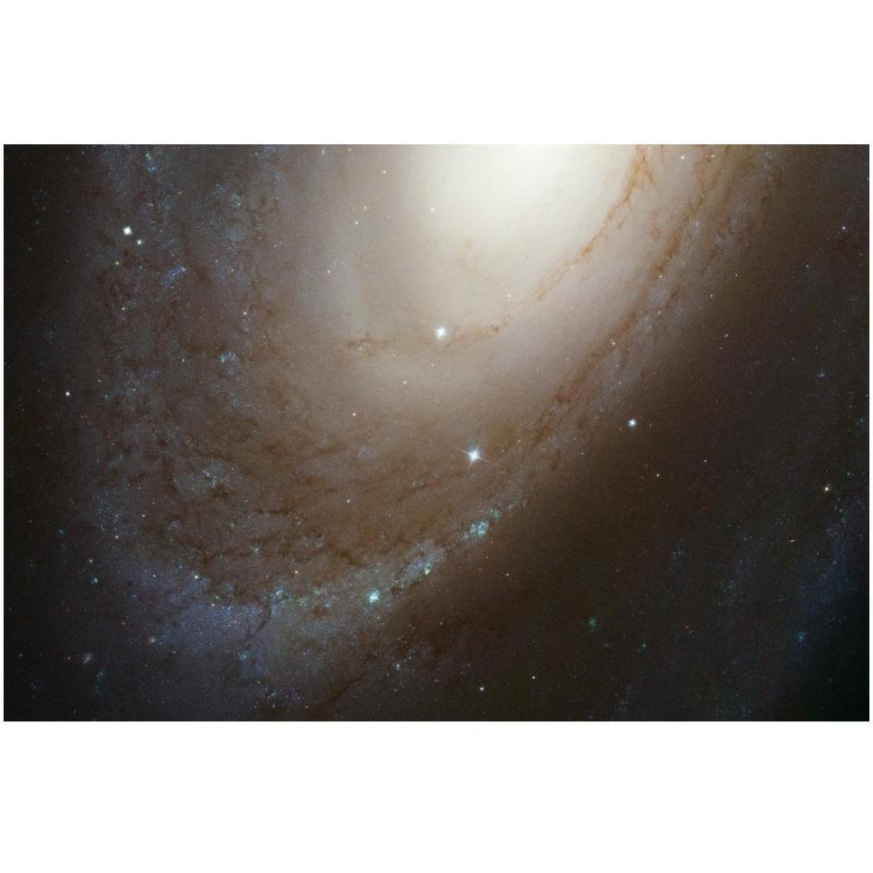 HST ACS Image of M81-Paper Art-50&quotx34"