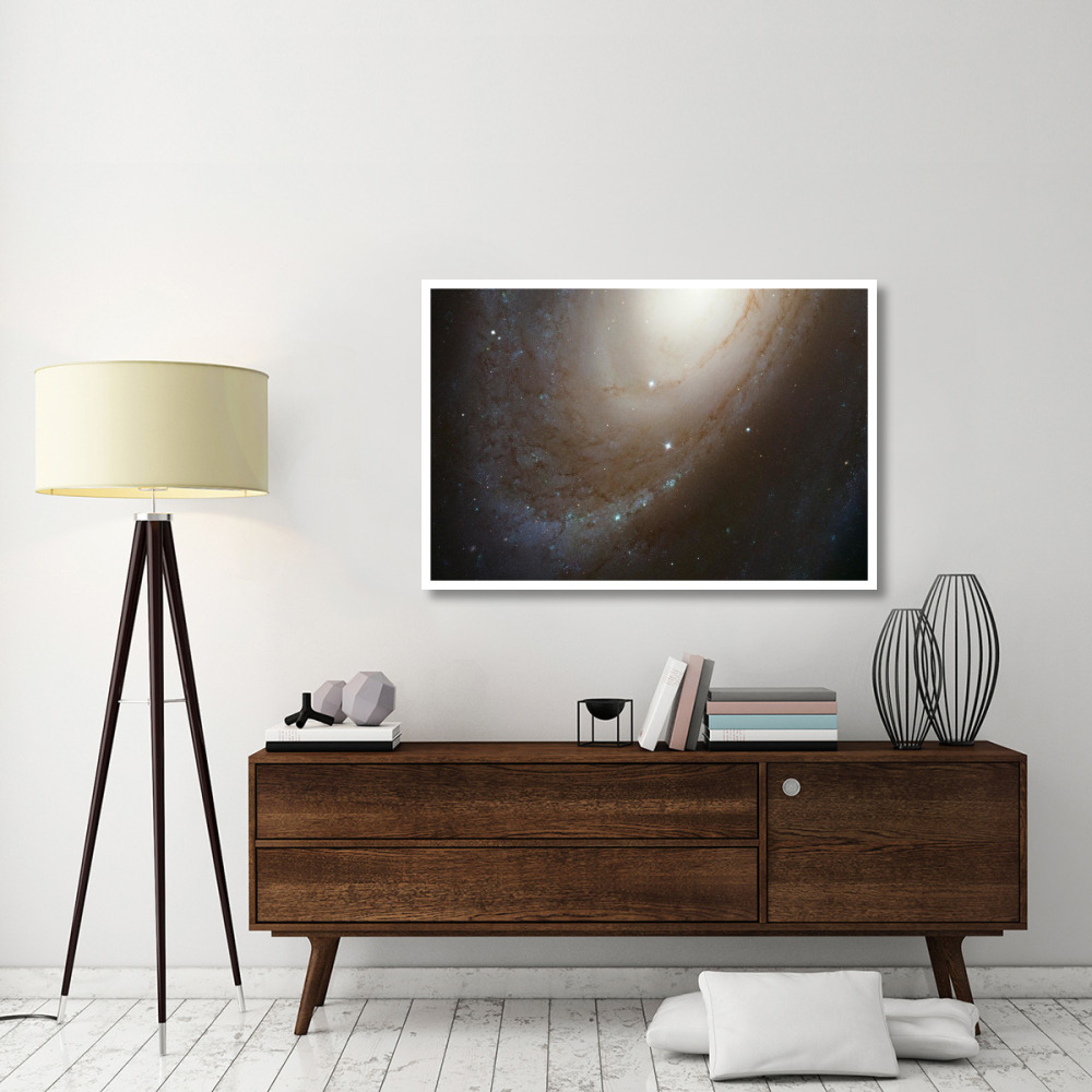 HST ACS Image of M81-Paper Art-50&quotx34"