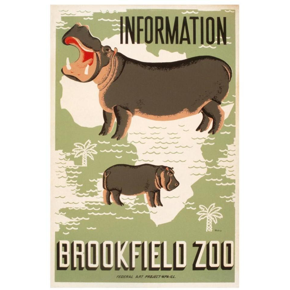 Information - Brookfield Zoo - Hippos-Paper Art-22&quotx32"