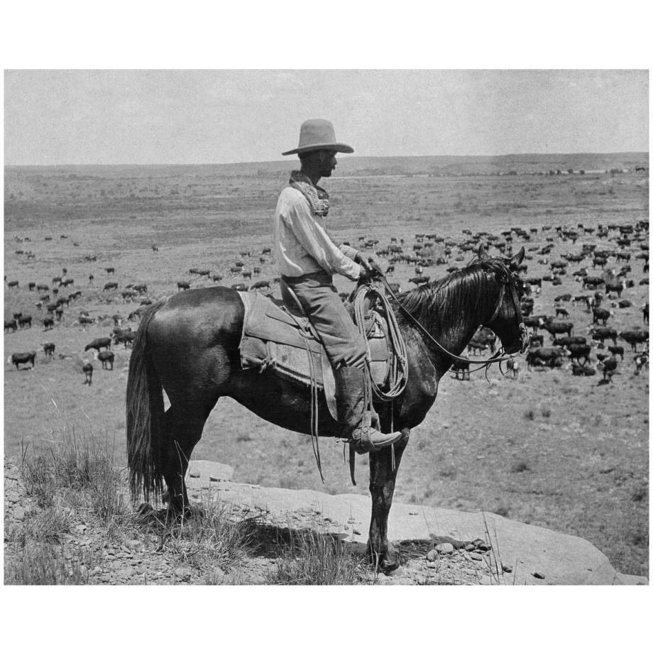 A Texas cowboy, 1907-Paper Art-22&quotx18"