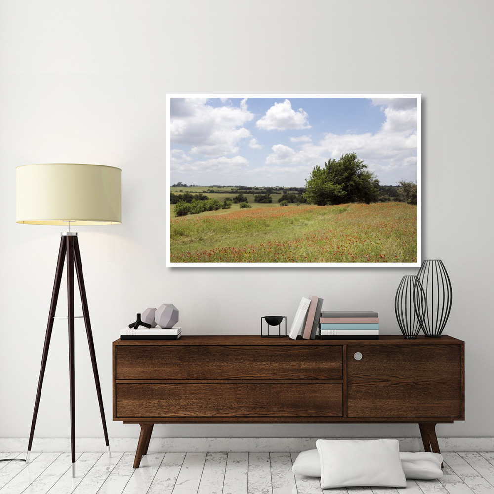 A field of wildflowers near Chappel Hill in Austin County, TX, 2014-Paper Art-62&quotx42"