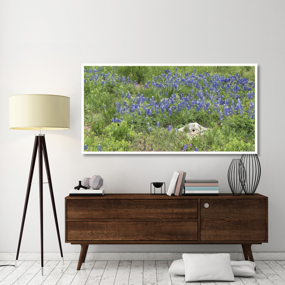 Bluebonnets at the Lady Bird Johnson Wildflower Center, near Austin, TX-Paper Art-74&quotx38"