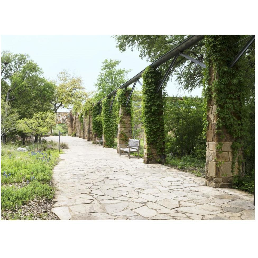 Paved walkway at the Lady Bird Johnson Wildflower Center, near Austin, TX-Paper Art-50&quotx38"