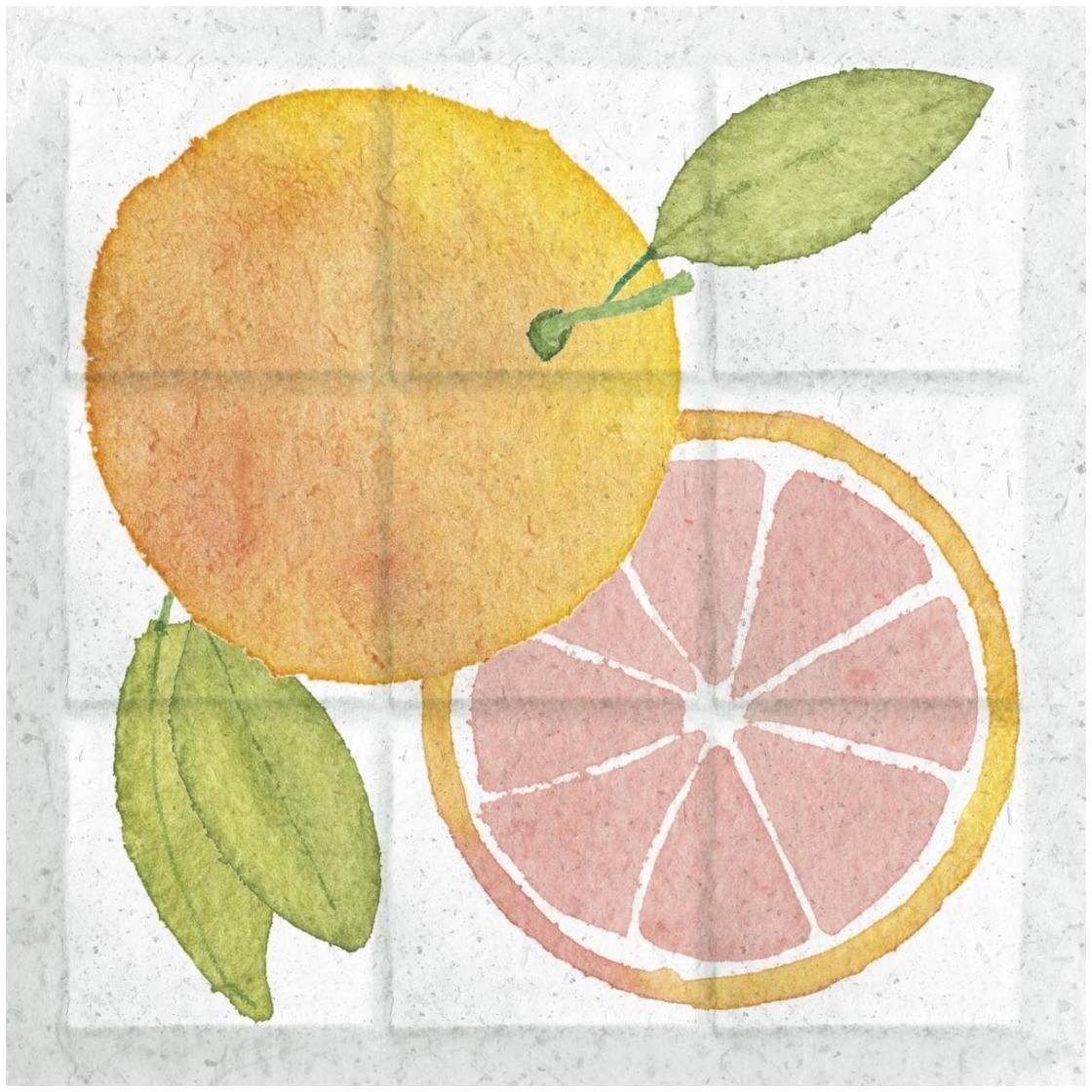 Citrus Tile VIII -Paper Art-26&quotx26"