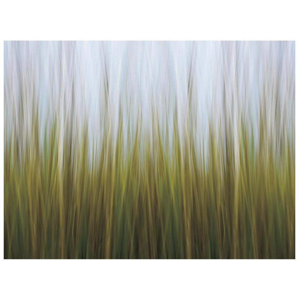 Sea Grass Canvas -Paper Art-26&quotx20"