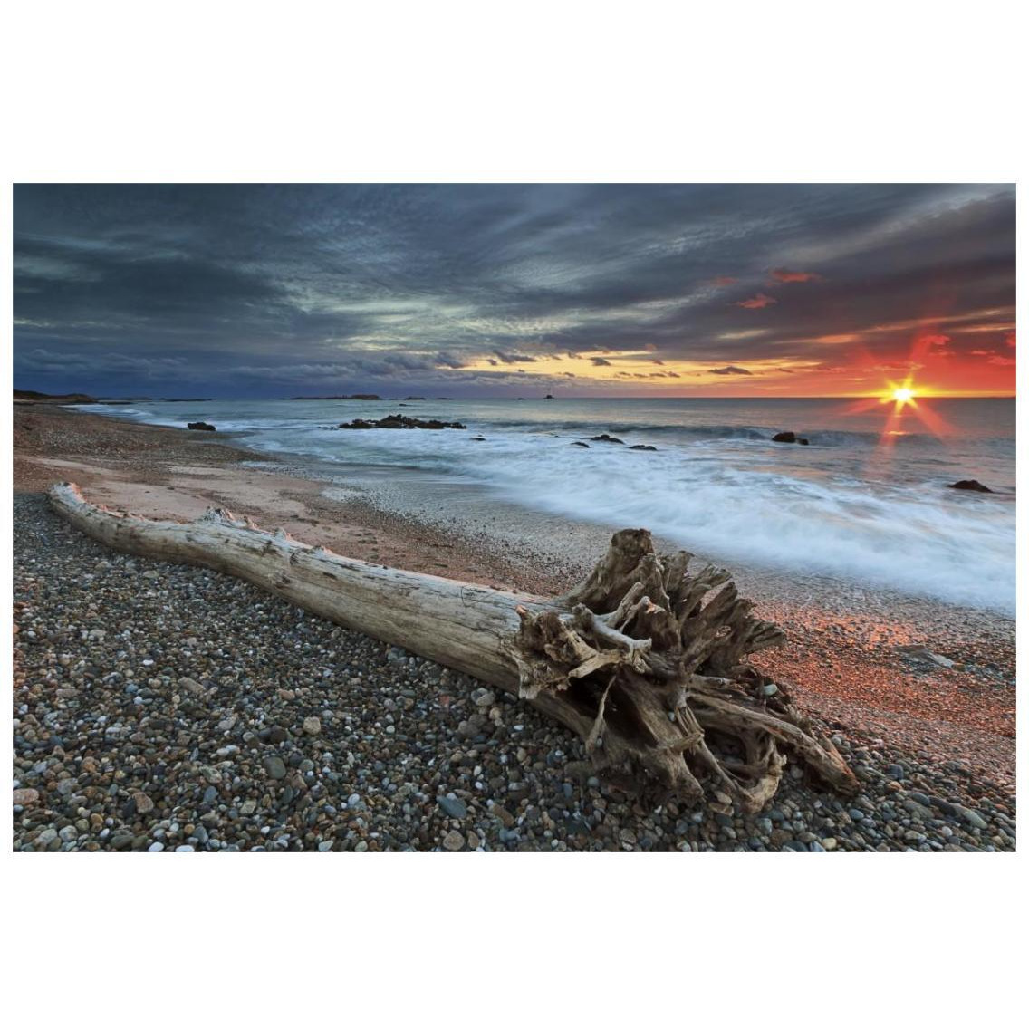 Sakonnet Driftwood -Paper Art-26&quotx18"