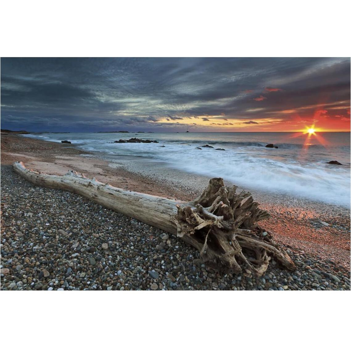 Sakonnet Driftwood -Paper Art-38&quotx26"