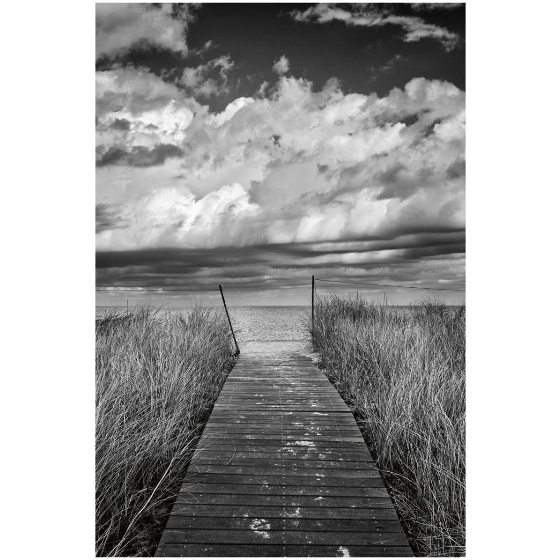 Oak Bluffs Beach Path -Paper Art-22&quotx32"