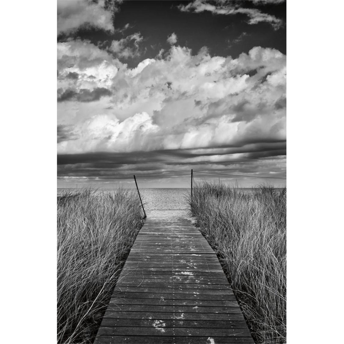 Oak Bluffs Beach Path -Paper Art-26&quotx38"