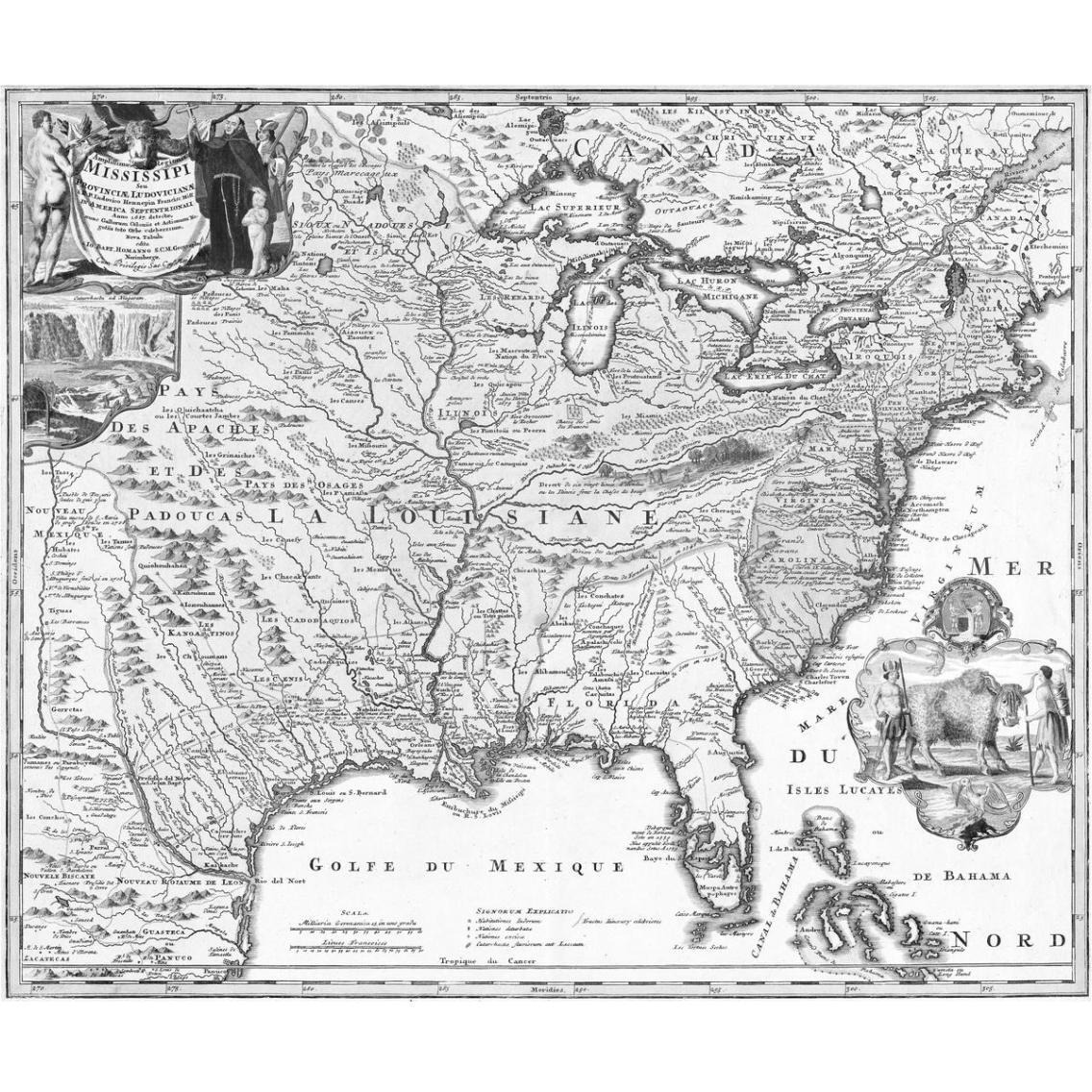 The American Buffalo Map, 1718 -Paper Art-38&quotx32.24"