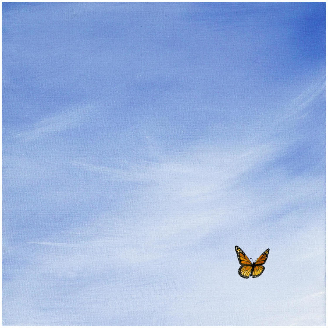 Big Sky Square Butterfly -Paper Art-26&quotx26"