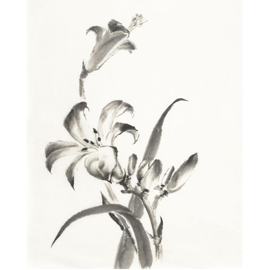 Sumi Daylily II -Paper Art-24&quotx30"