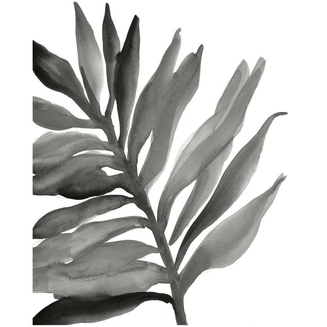 Tropical Palm III Crop BW -Paper Art-22&quotx26"