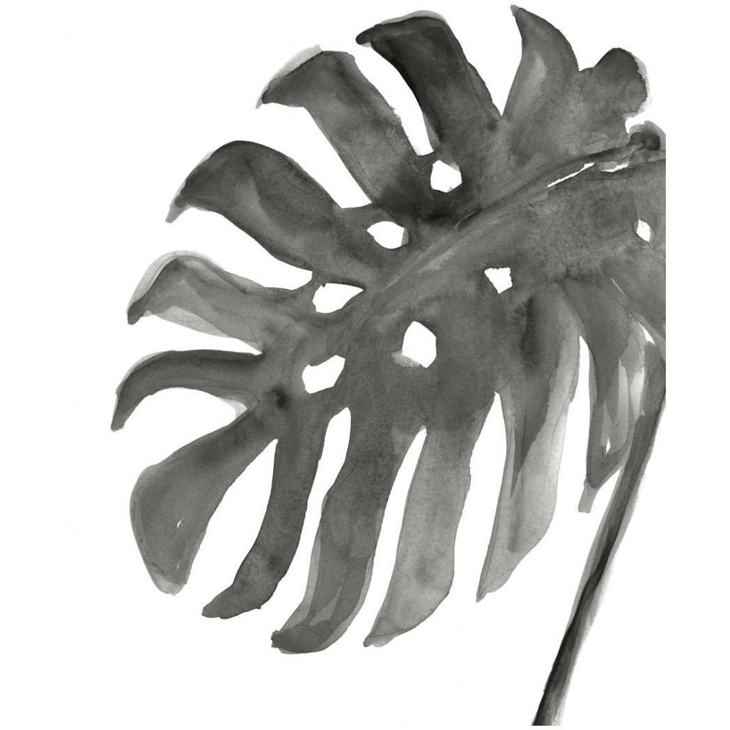 Tropical Palm IV Crop BW -Paper Art-22&quotx26"