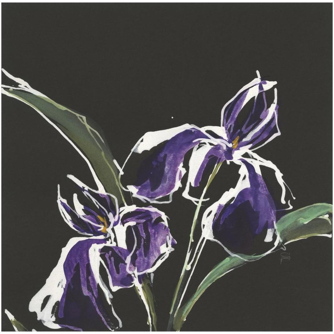 Iris on Black I -Paper Art-42&quotx42"