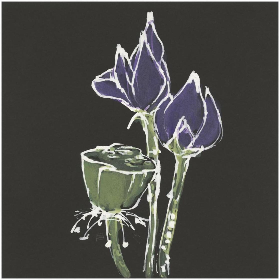 Lotus on Black II -Paper Art-26&quotx26"