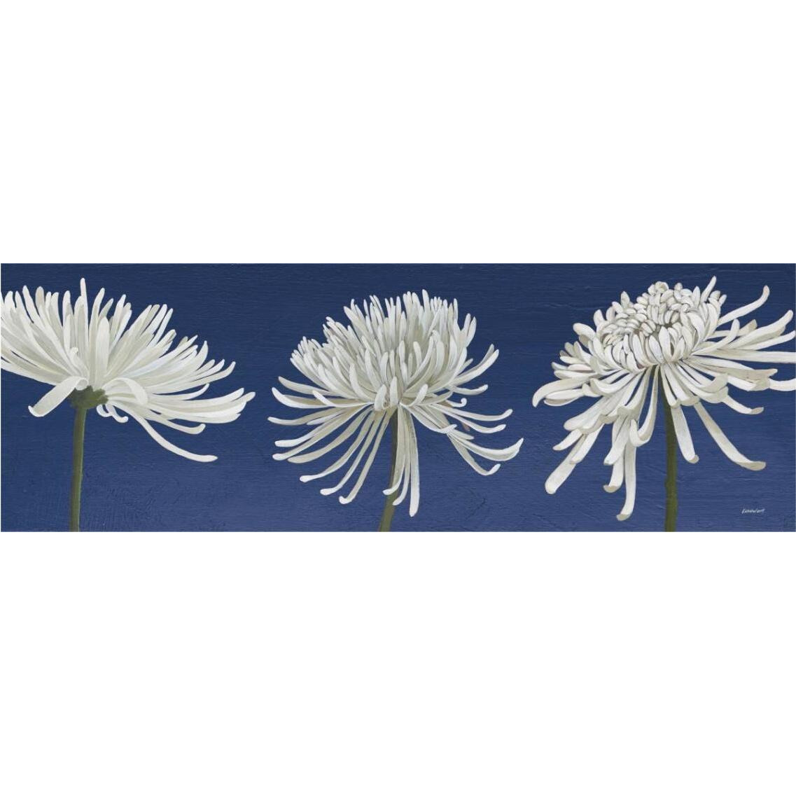 Morning Chrysanthemums V Indigo -Paper Art-38&quotx14"