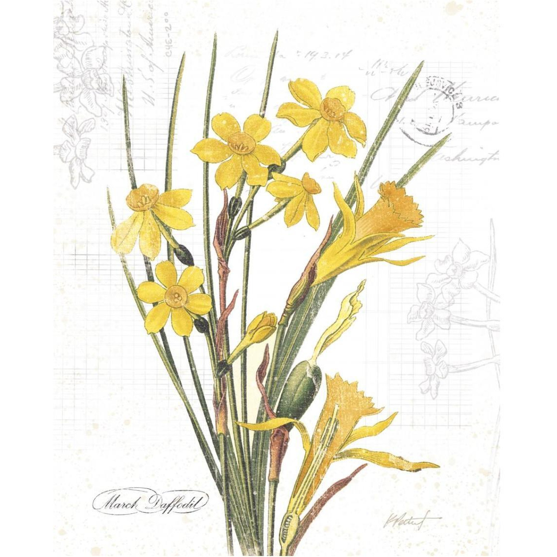 March Daffodil on White -Paper Art-30&quotx37"