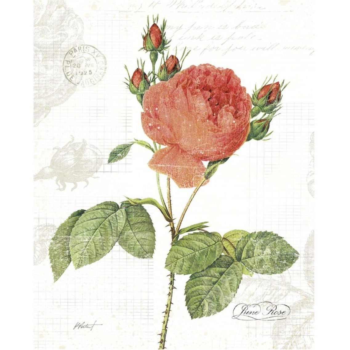 June Rose on White -Paper Art-30&quotx37"