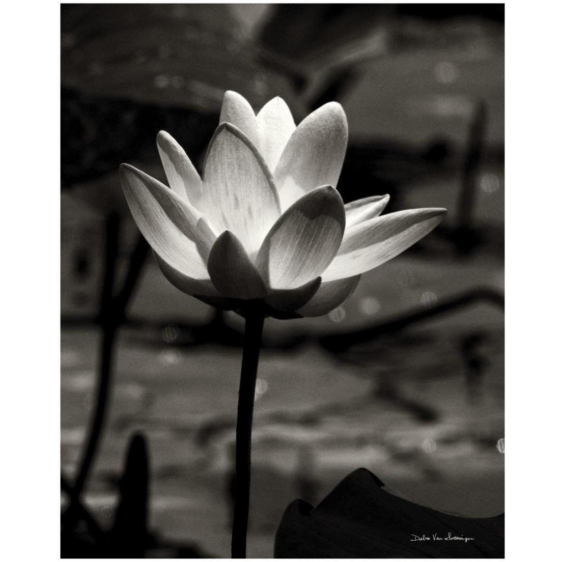 Lotus Flower VII -Paper Art-18&quotx22"