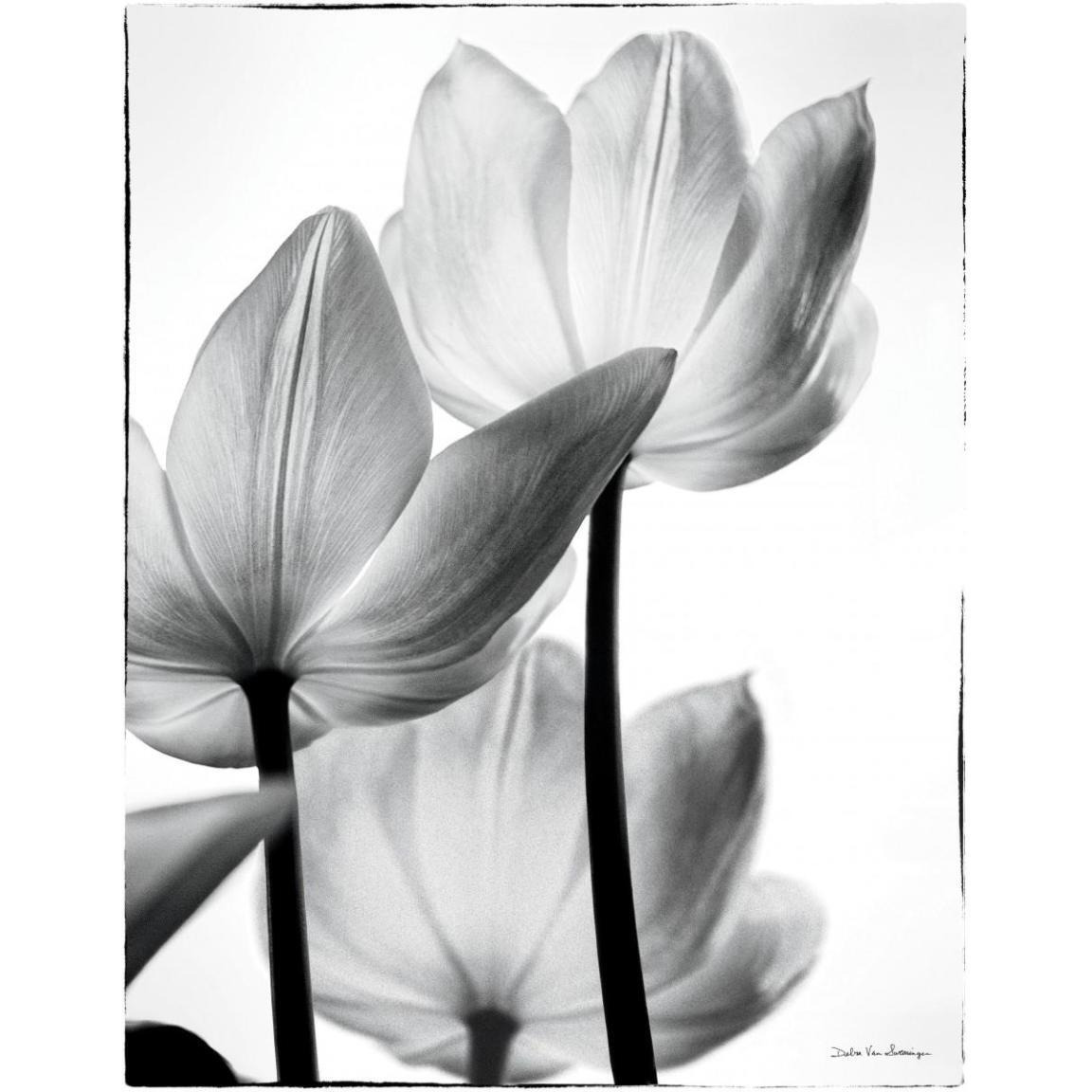 Translucent Tulips III -Paper Art-38&quotx50"