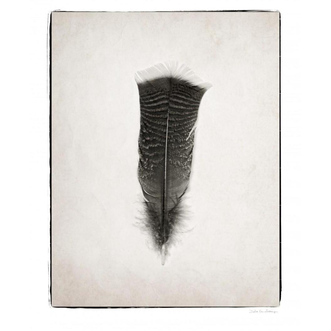 Feather III - BW -Paper Art-18&quotx22"