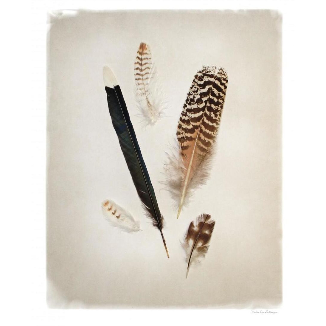 Feather Group II -Paper Art-30&quotx37"