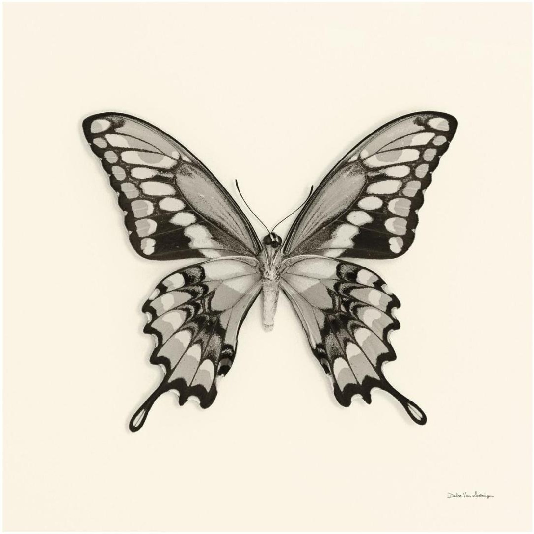 Butterfly VI - BW -Paper Art-20&quotx20"