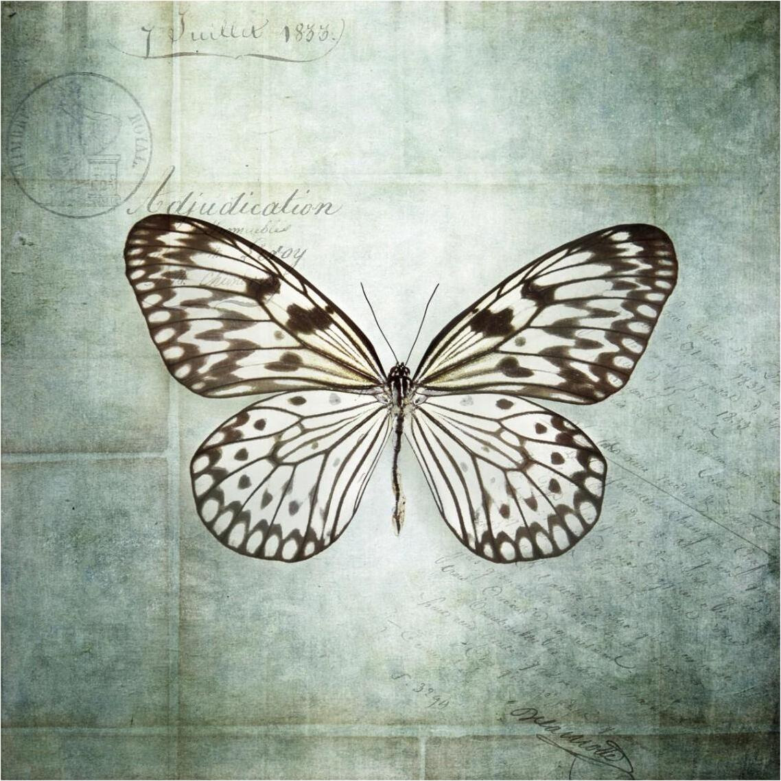 French Butterfly V -Paper Art-38&quotx38"