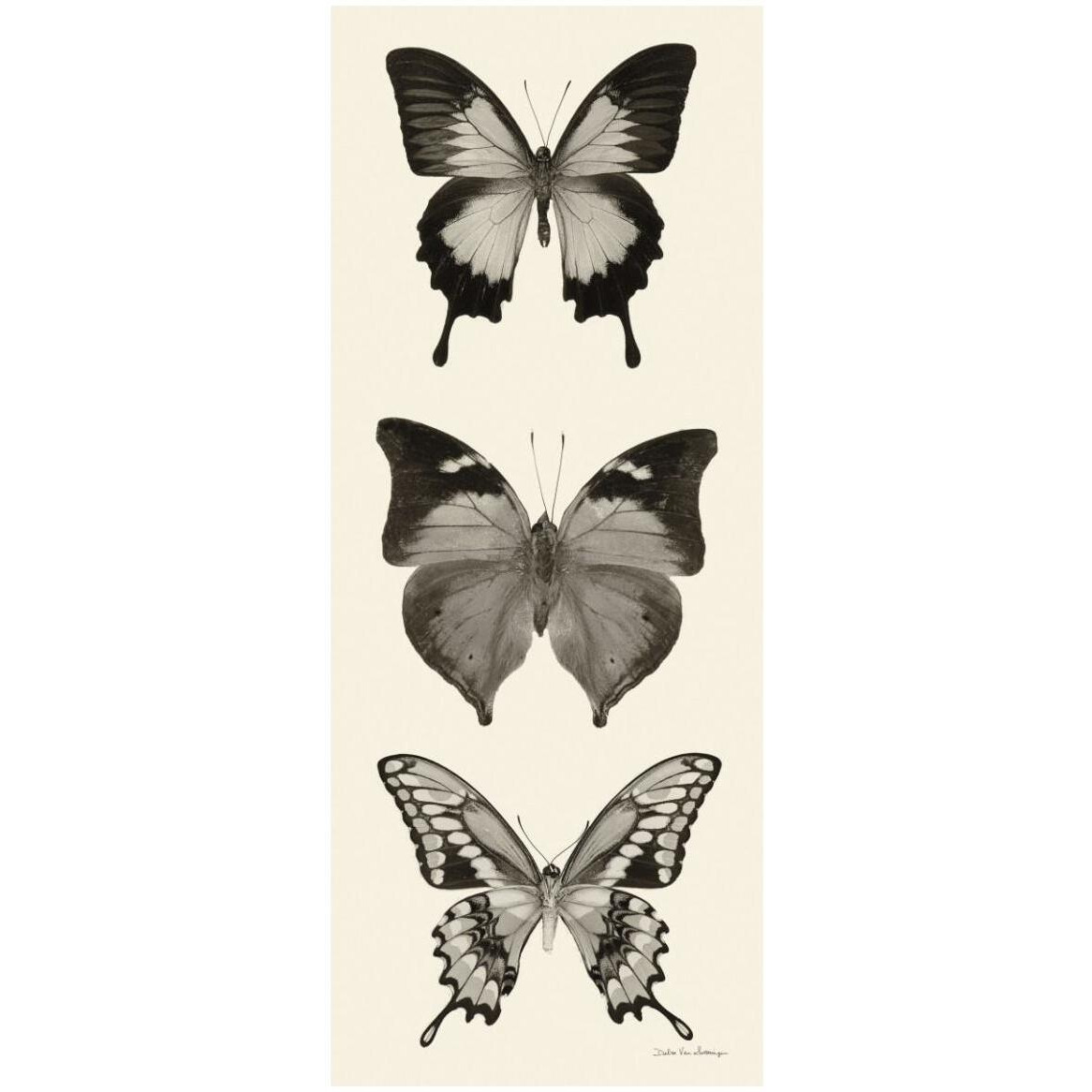 Butterfly - BW Panel I -Paper Art-22&quotx52"