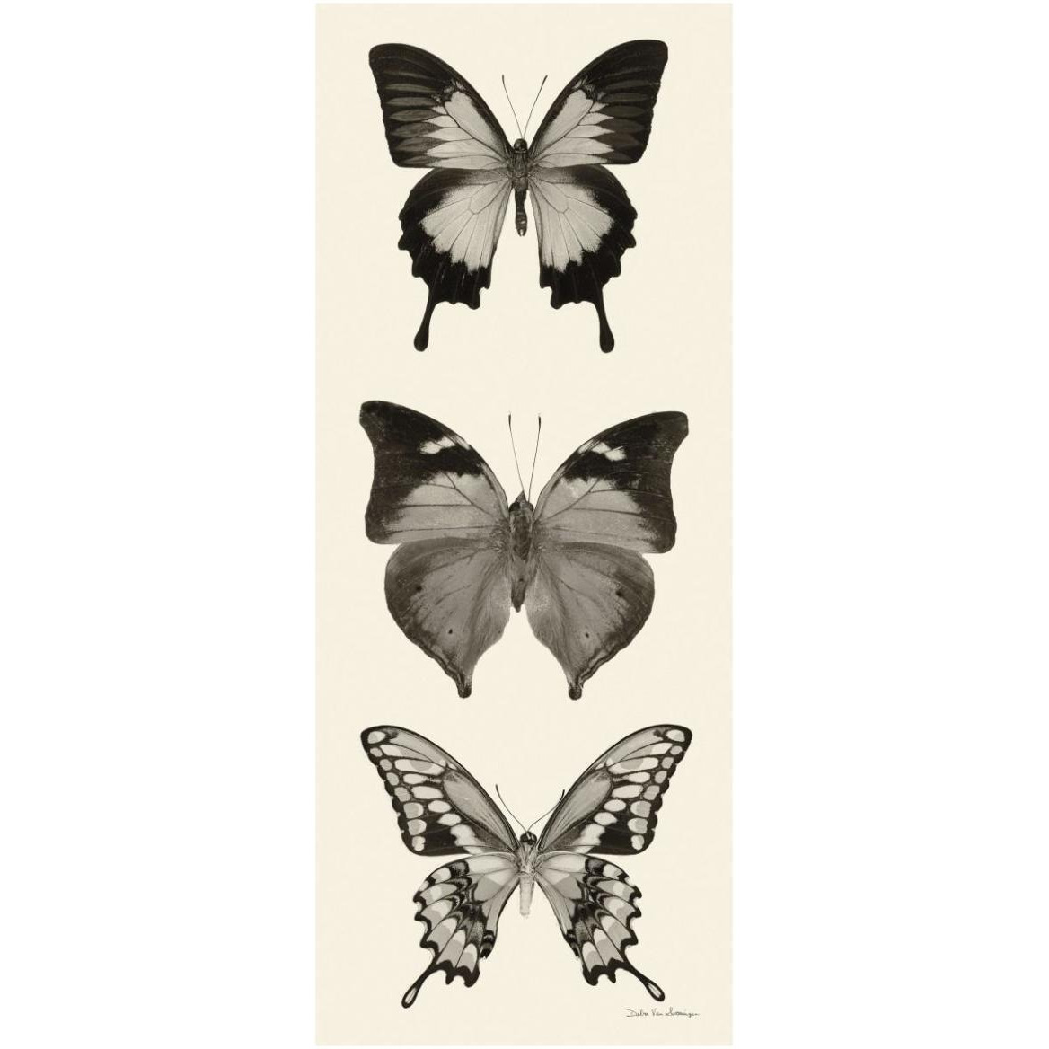 Butterfly - BW Panel I -Paper Art-26&quotx62"