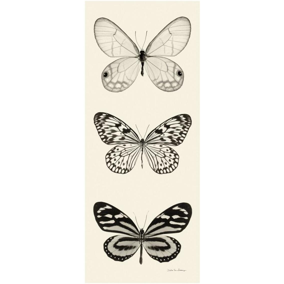 Butterfly - BW Panel II -Paper Art-14&quotx32"