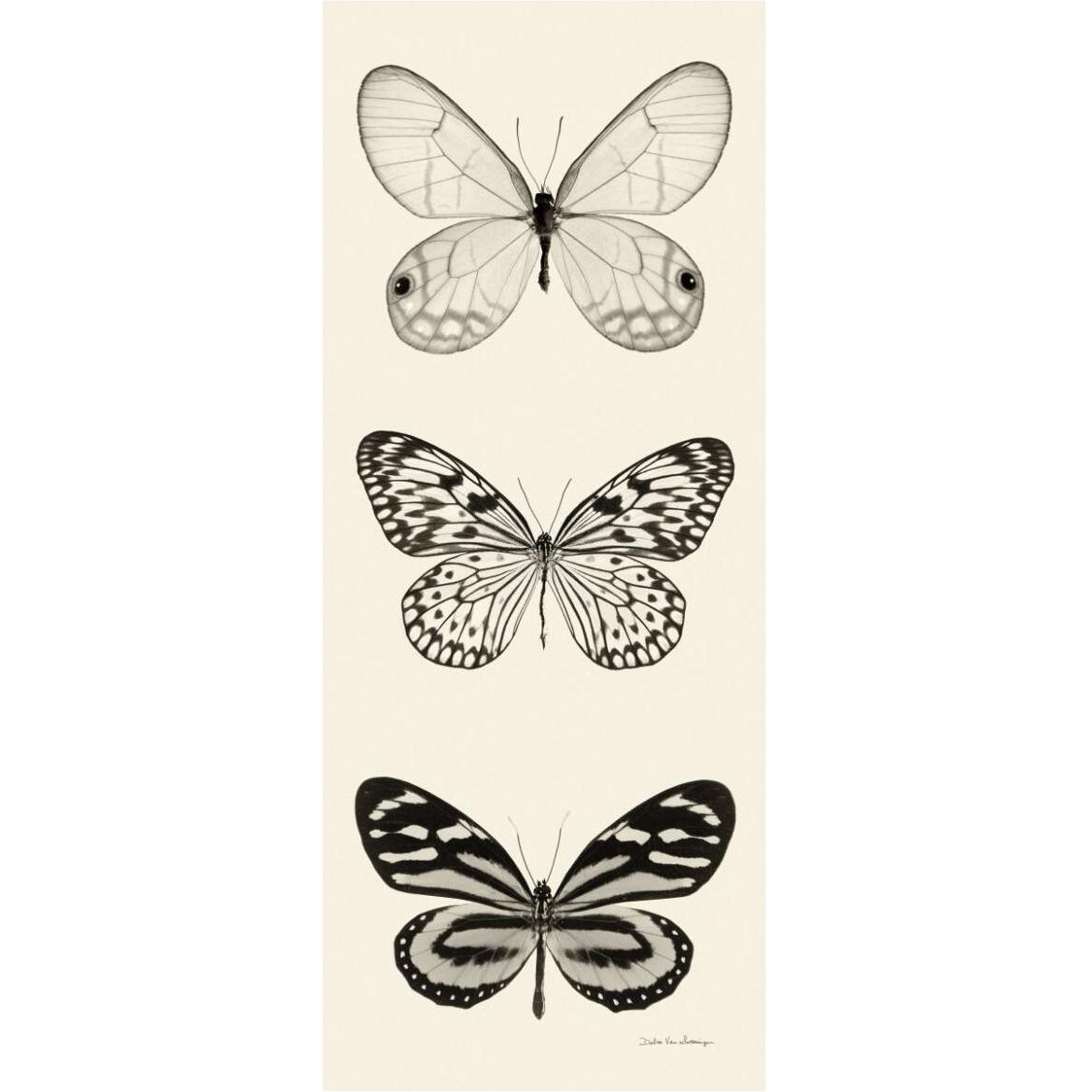 Butterfly - BW Panel II -Paper Art-32&quotx77"