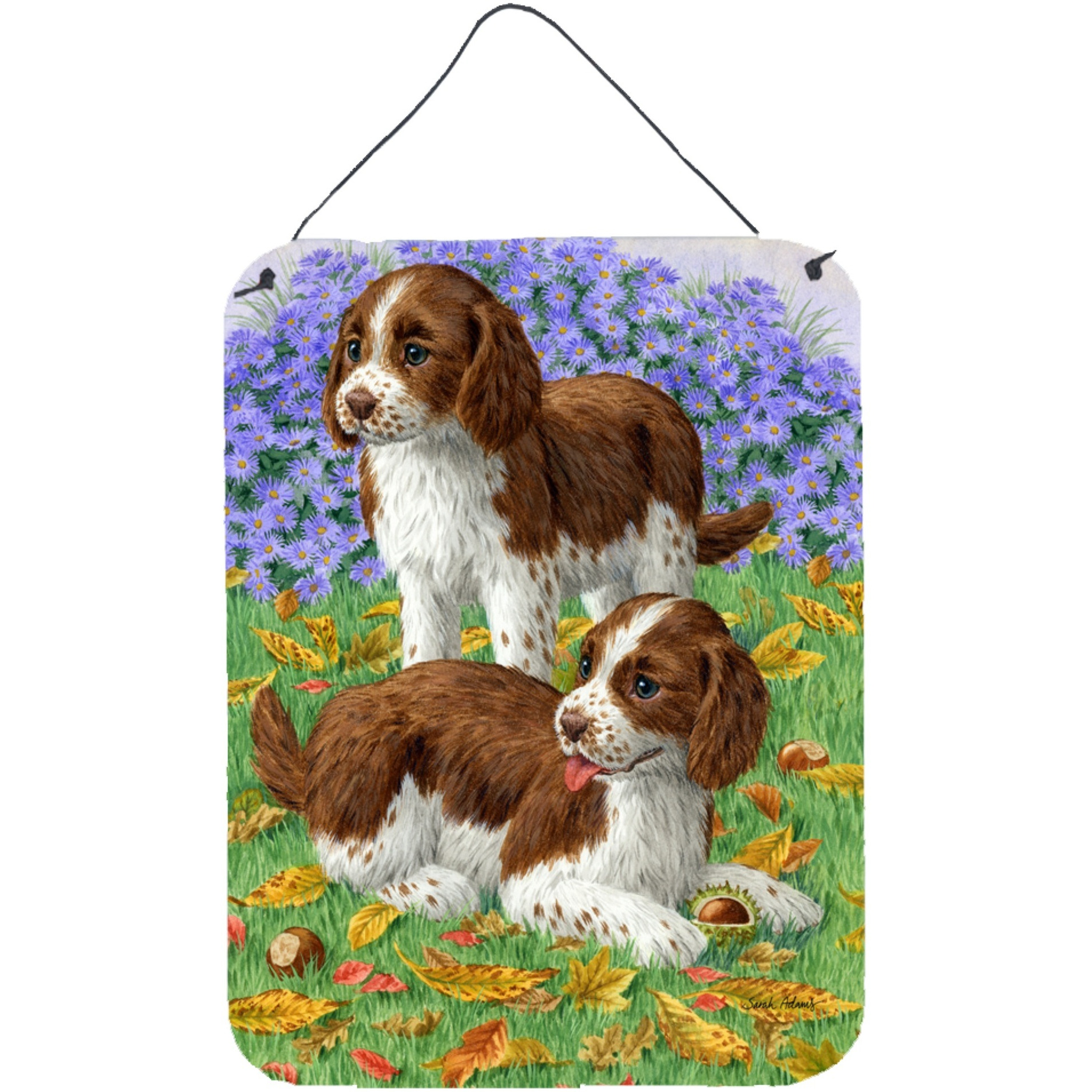 &quotCaroline's Treasures Welsh Springer Spaniel Pups Wall or Door Hanging Prints ASA2116DS1216, 16HX12W, Multicolor"