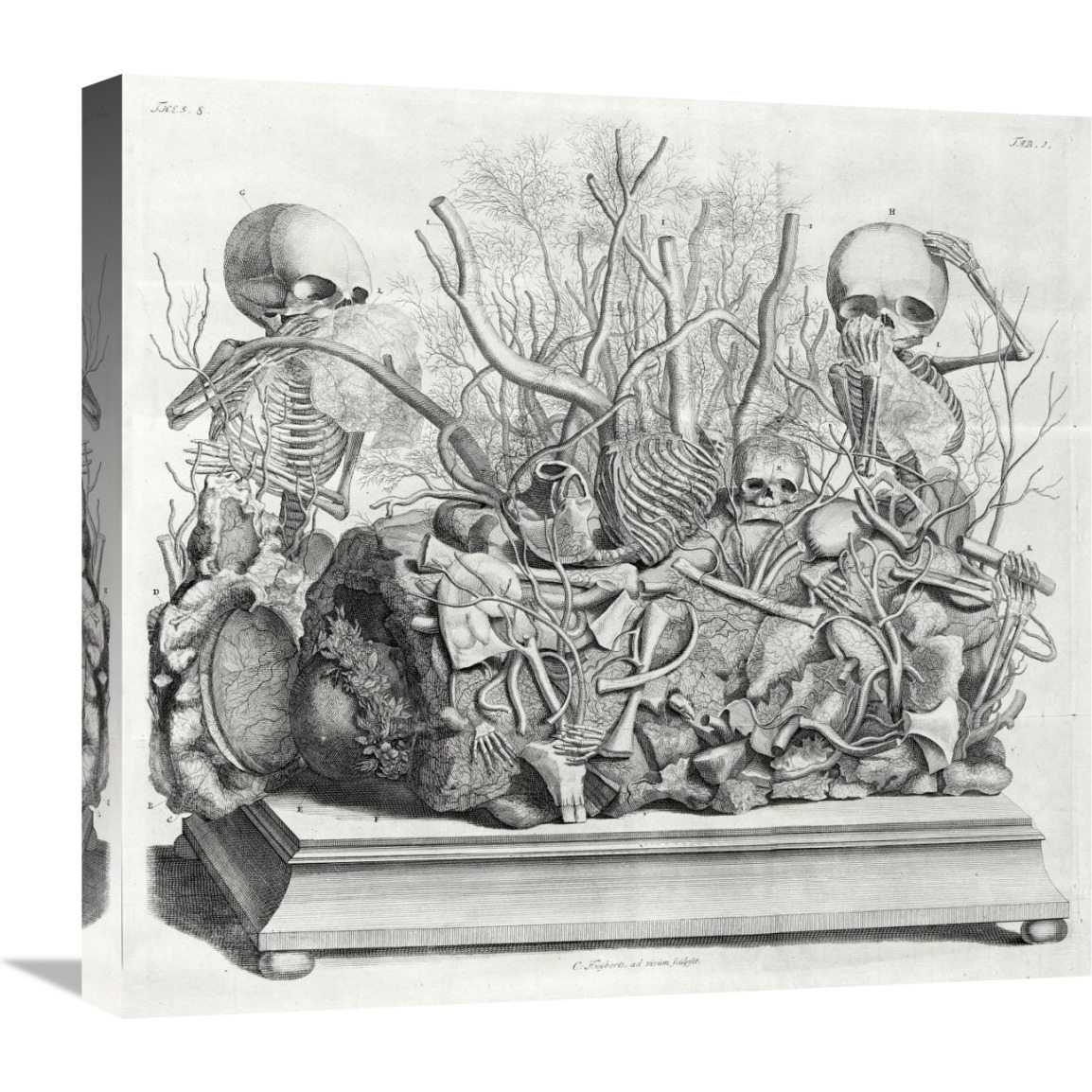 Diorama of fetal skeletons arranged with various internal organs-Canvas Art-22&quotx20.46"