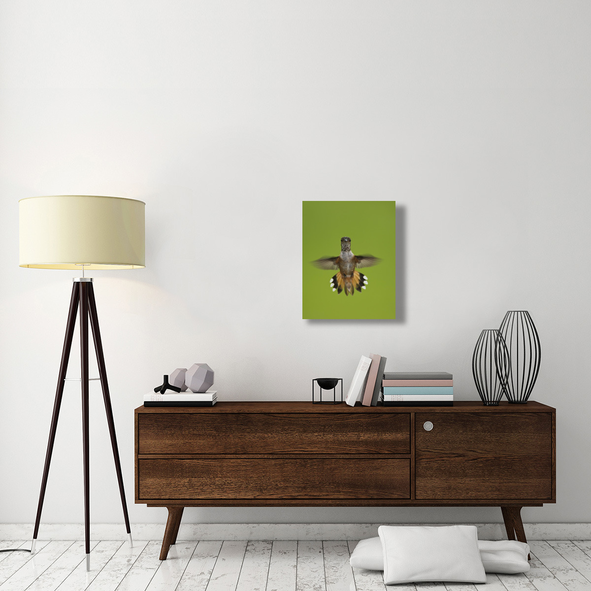 Rufous Hummingbird hovering, Stikine River Delta, Alaska-Canvas Art-20&quotx24"