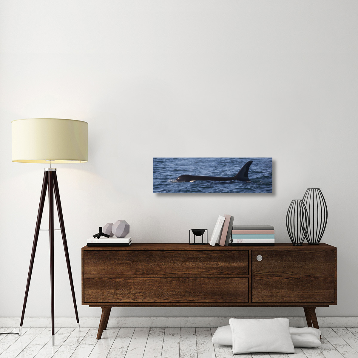 Orca surfacing showing dorsal fin in Queen Charlotte Sound, Canada-Canvas Art-40&quotx12"