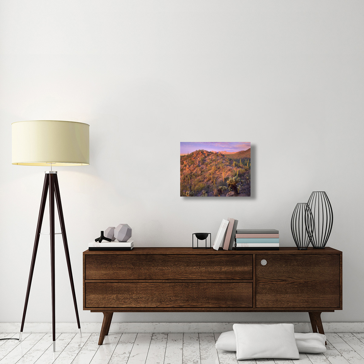 Panther and Safford Peaks covered with Saguaro and Teddybear Cholla, Saguaro National Park, Arizona-Canvas Art-24&quotx18"