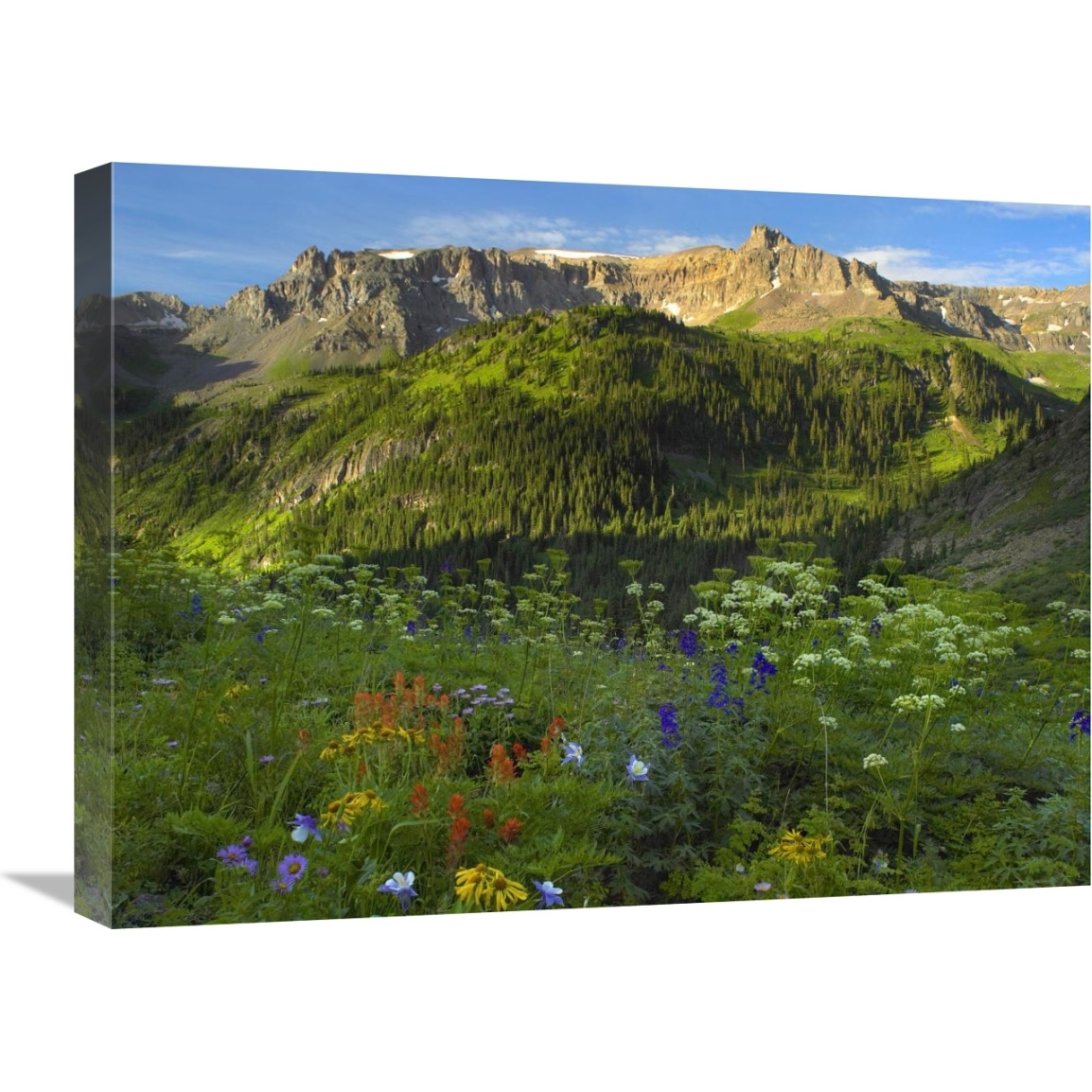 Wildflower meadow looking towards Mount Sneffels Wilderness, Yankee Boy Basin, Colorado-Canvas Art-24&quotx18"