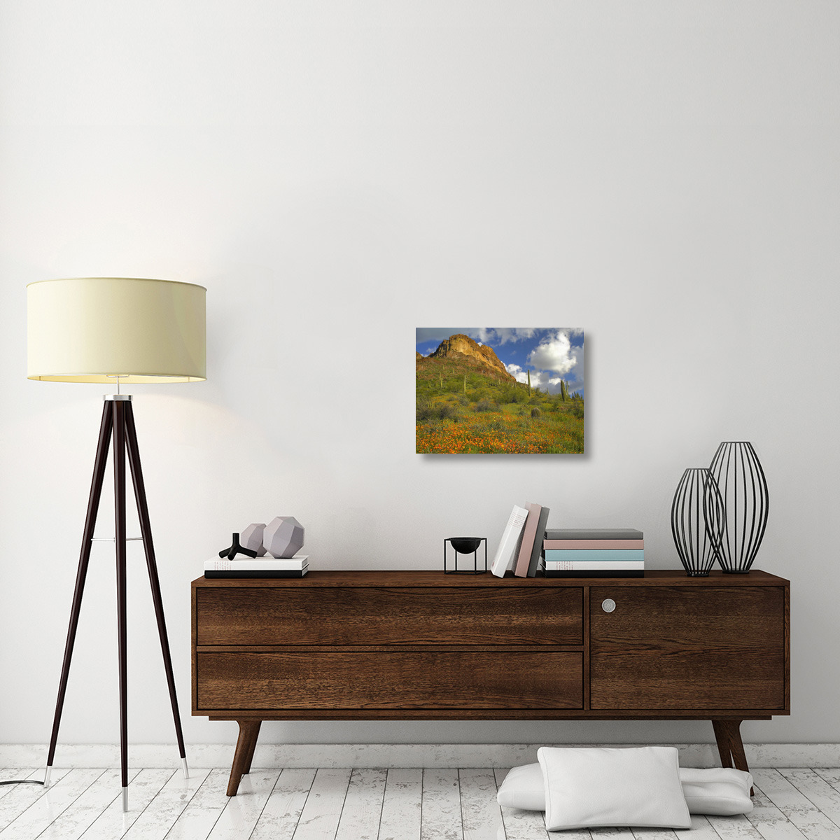 California Poppy and Saguaro cacti, Organ Pipe Cactus National Monument, Arizona-Canvas Art-24&quotx18"