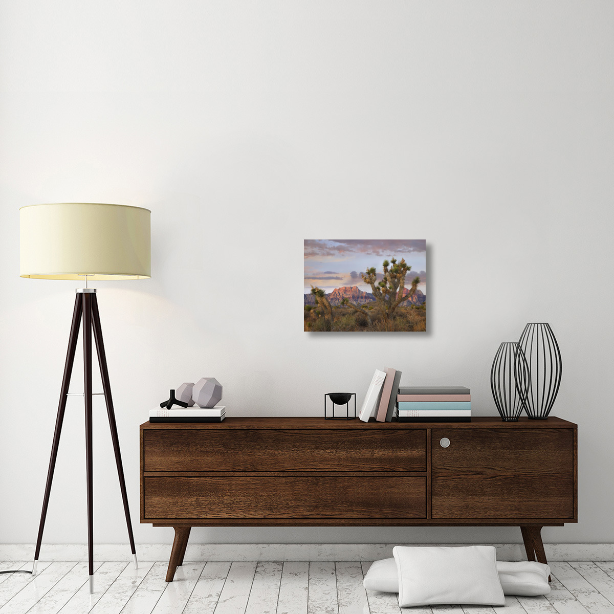 Joshua Tree and Spring Mountains, Red Rock Canyon National Conservation Area, Nevada-Canvas Art-24&quotx18"