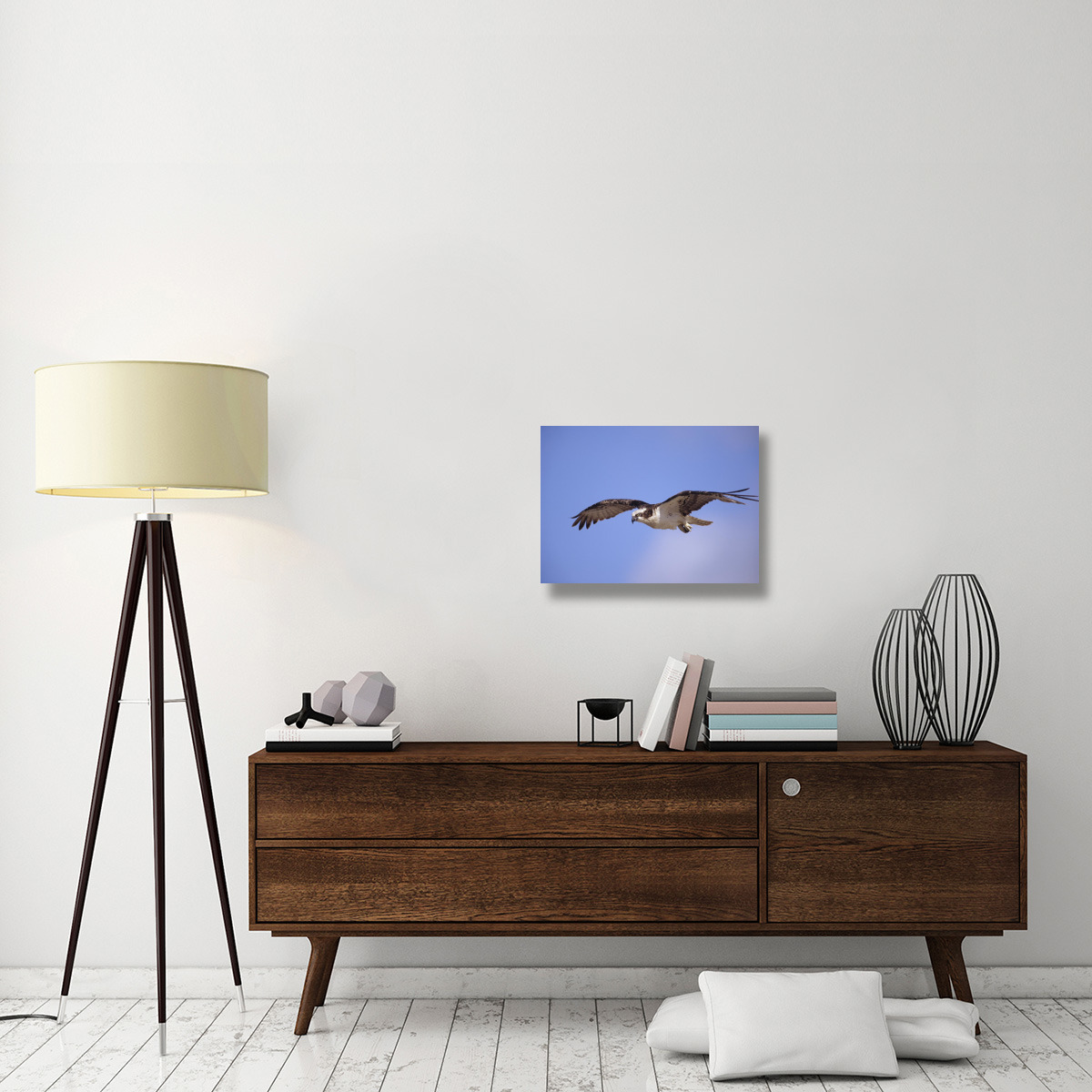 Osprey flying, North America-Canvas Art-24&quotx18"