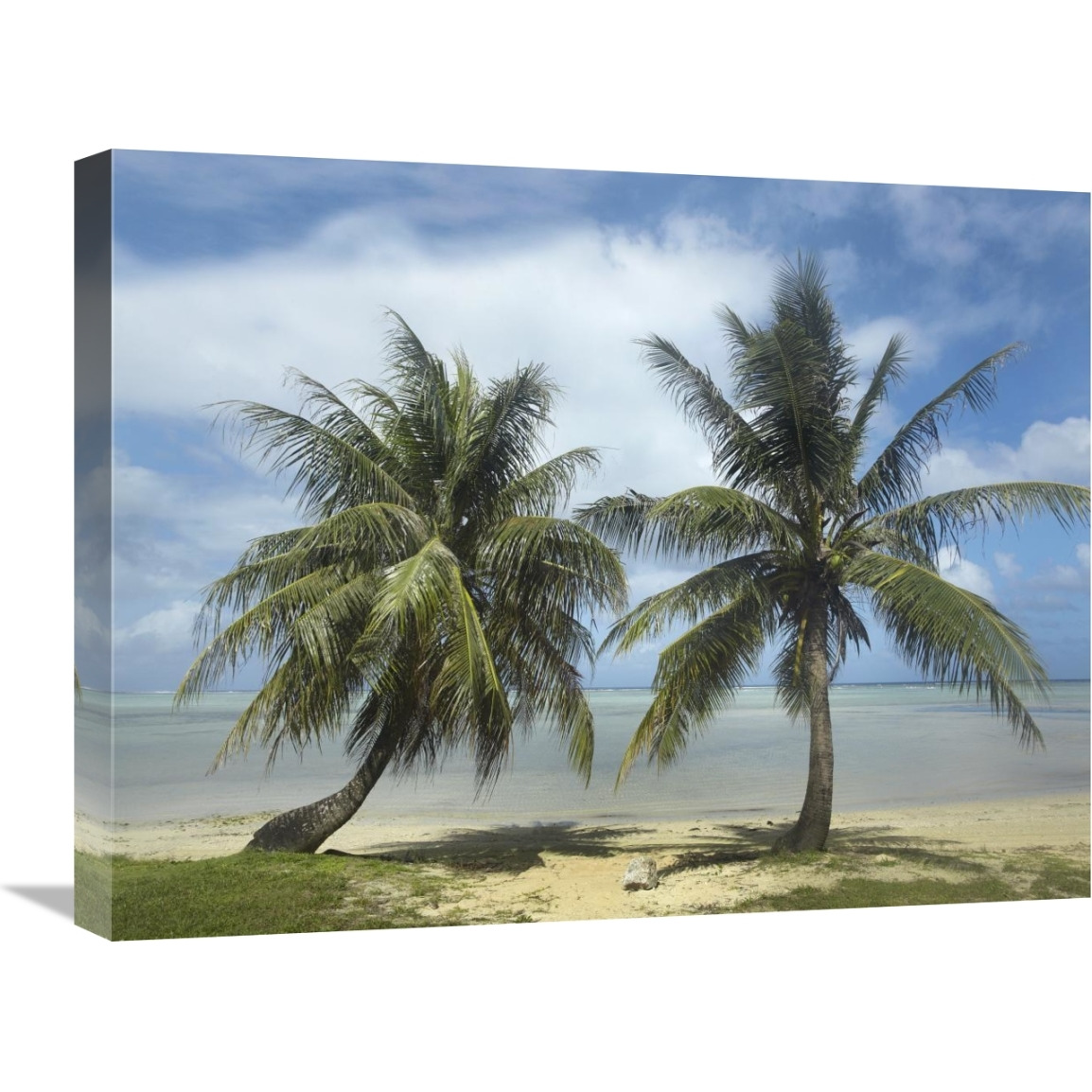 Palm trees, Agana Beach, Guam-Canvas Art-24&quotx18"