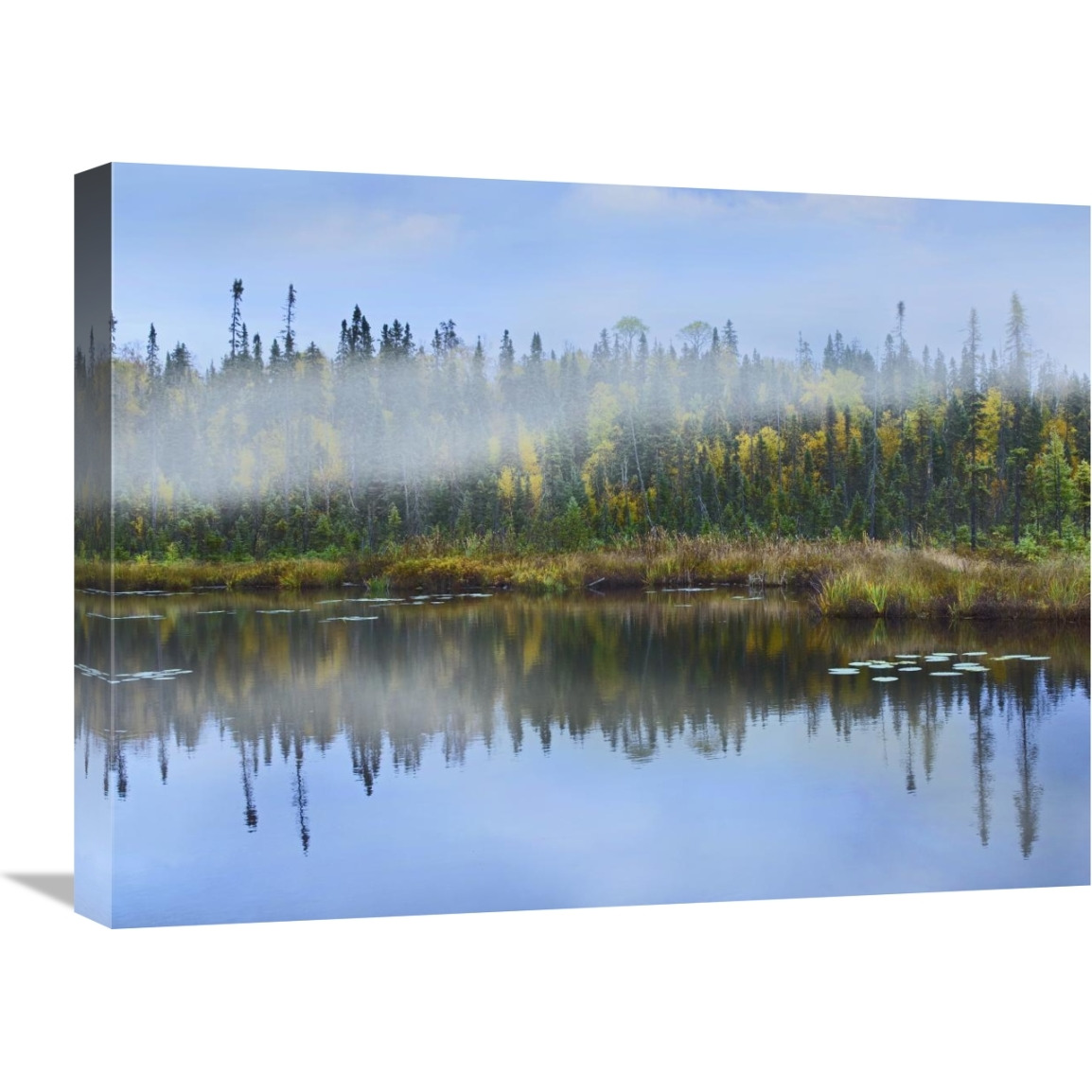 Fog over lake, Ontario, Canada-Canvas Art-24&quotx18"