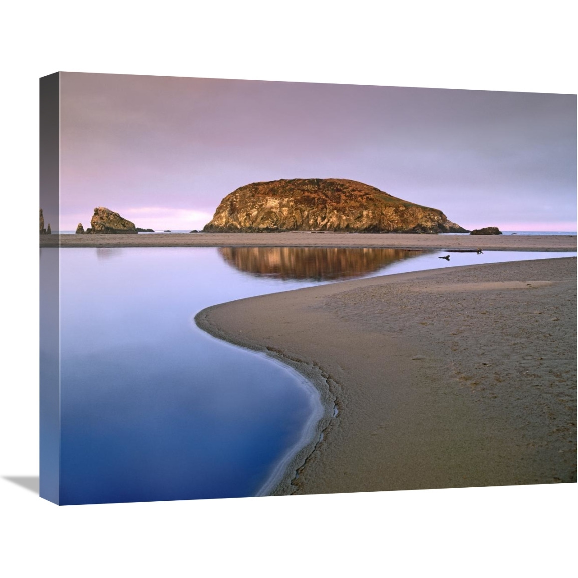 Harris Beach State Park, Oregon-Canvas Art-24&quotx20"