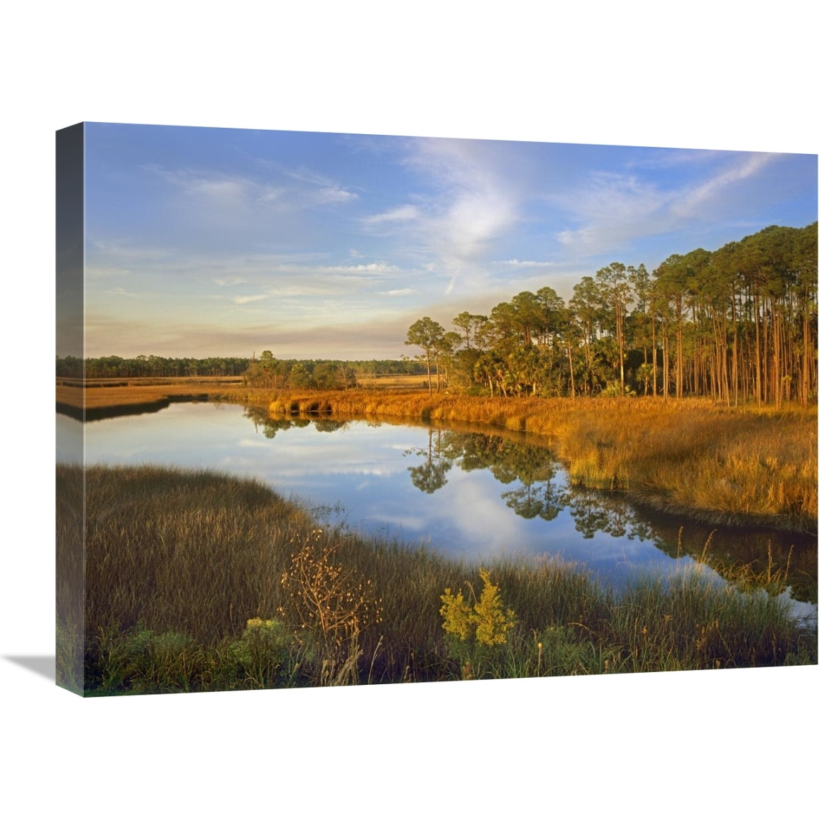 Lake near Apalachicola, Florida-Canvas Art-24&quotx18"