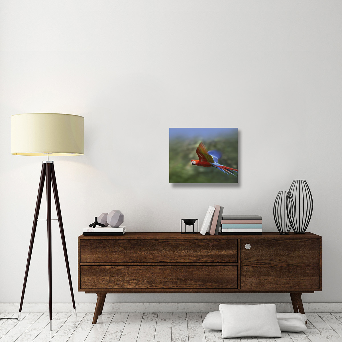 Scarlet Macaw flying, Costa Rica-Canvas Art-24&quotx20"