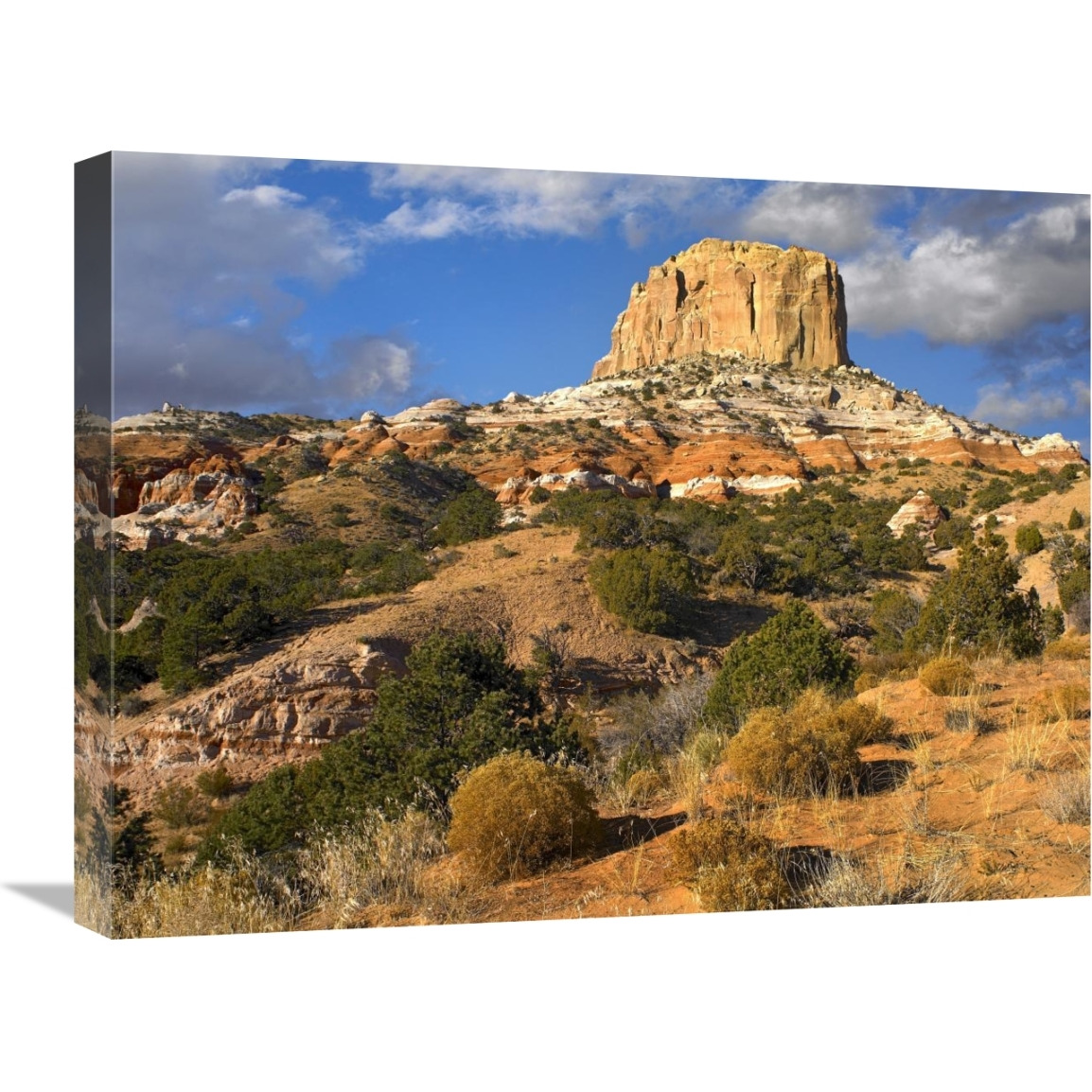 Square Butte near Kaibito, Arizona-Canvas Art-24&quotx18"