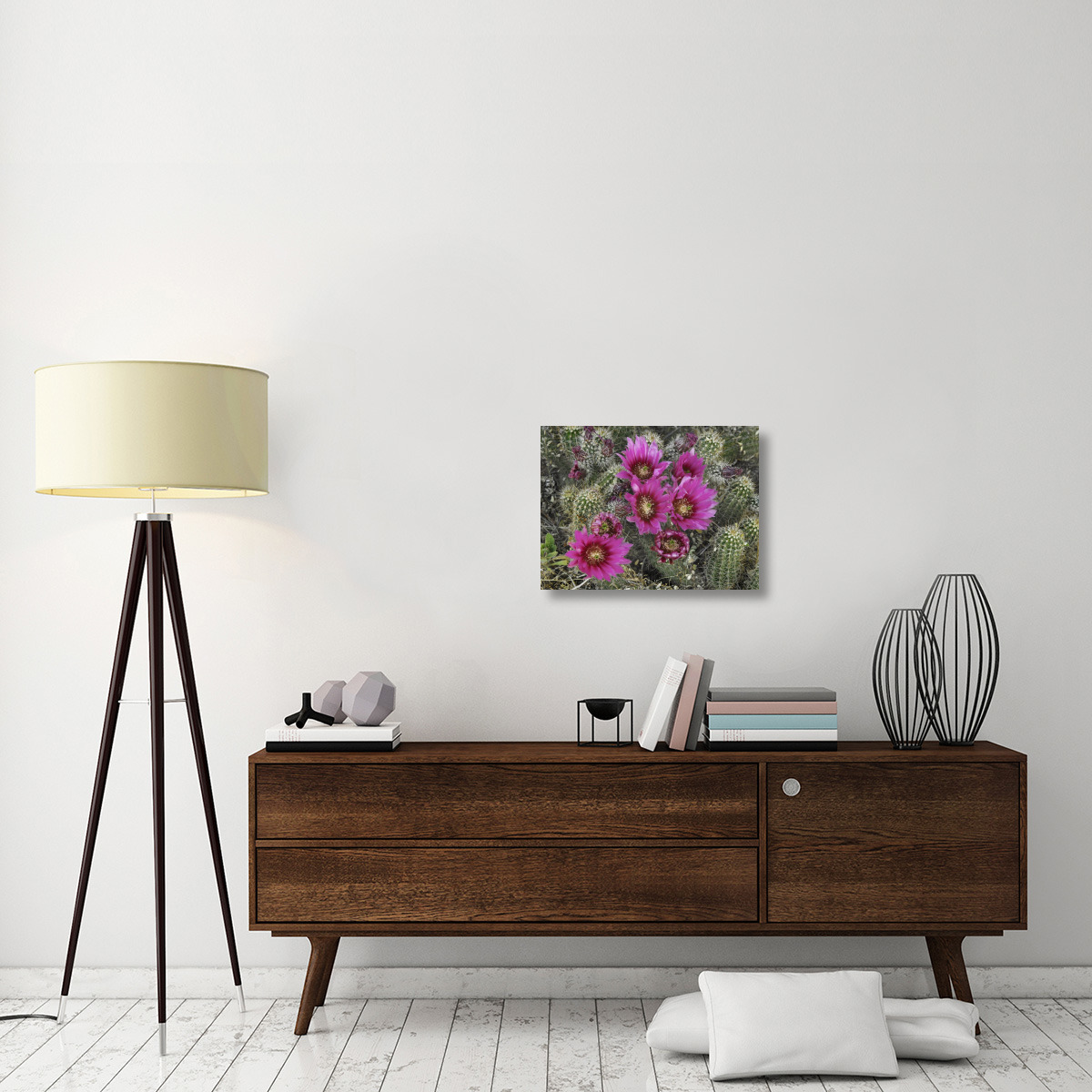 Hedgehog Cactus flowering, Arizona-Canvas Art-24&quotx18"