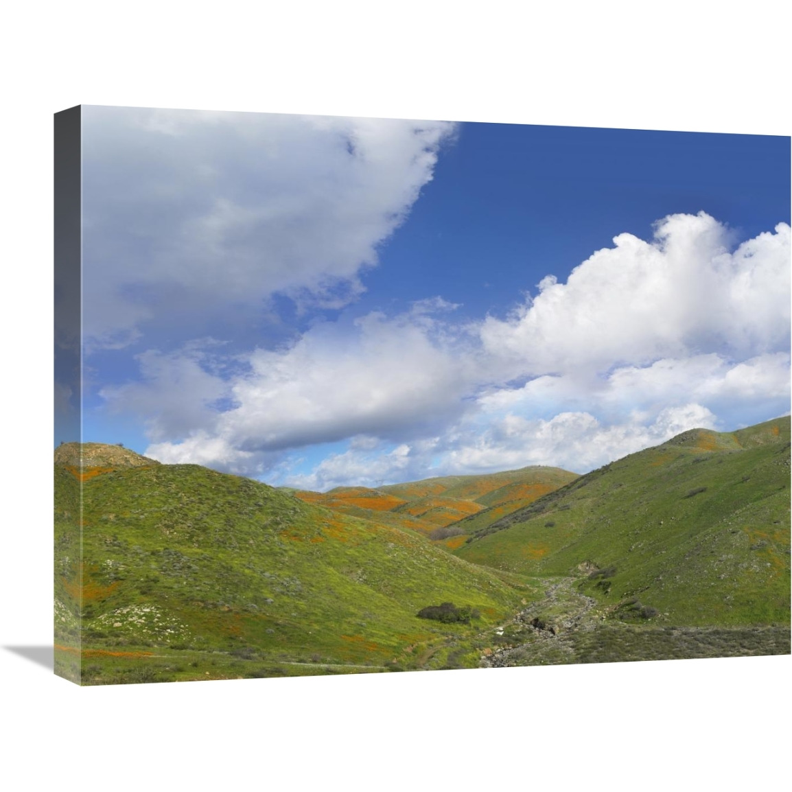 Temescal Hills, southern California-Canvas Art-24&quotx18"